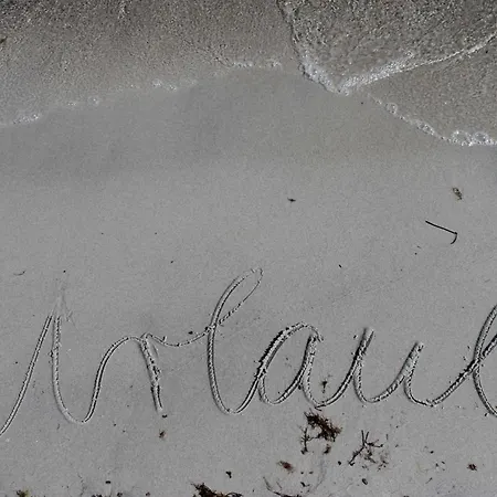 Seeschwalbe Im Birkenhof Am Ofc 09 Börgerende-Rethwisch