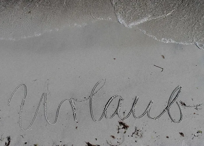 Seeschwalbe Im Birkenhof Am Ofc 09 Börgerende-Rethwisch